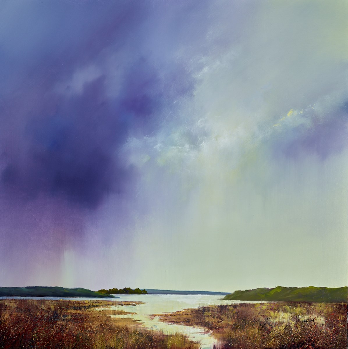 Marsh Brook